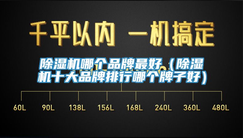 除濕機(jī)哪個(gè)品牌最好（除濕機(jī)十大品牌排行哪個(gè)牌子好）