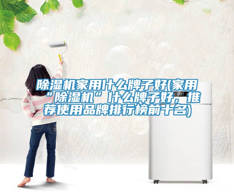 除濕機家用什么牌子好(家用“除濕機”什么牌子好，推薦使用品牌排行榜前十名)