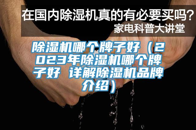 除濕機哪個牌子好（2023年除濕機哪個牌子好 詳解除濕機品牌介紹）