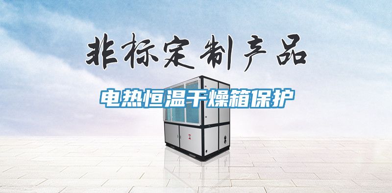 電熱恒溫干燥箱保護(hù)