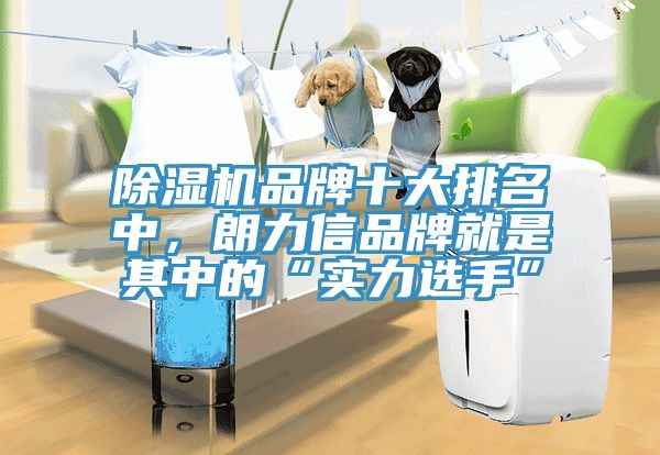 除濕機(jī)品牌十大排名中，朗力信品牌就是其中的“實(shí)力選手”