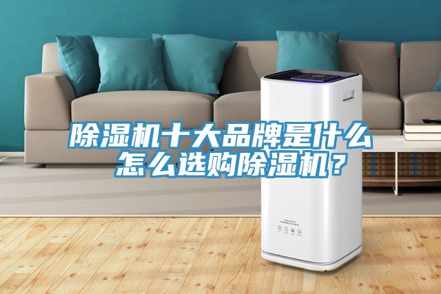 除濕機十大品牌是什么 怎么選購除濕機？