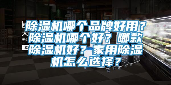 除濕機哪個品牌好用？除濕機哪個好？哪款除濕機好？家用除濕機怎么選擇？