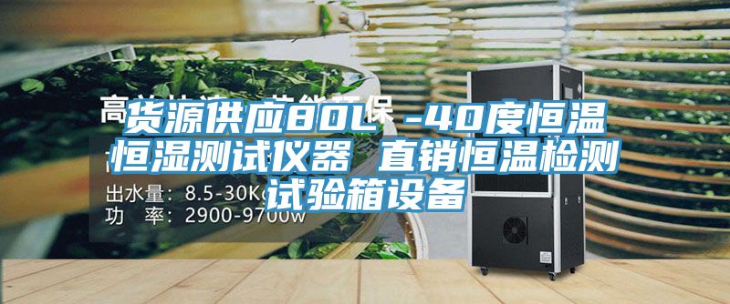 貨源供應(yīng)80L -40度恒溫恒濕測試儀器 直銷恒溫檢測試驗(yàn)箱設(shè)備