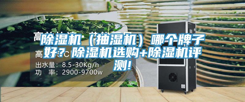 除濕機（抽濕機）哪個牌子好？除濕機選購+除濕機評測!