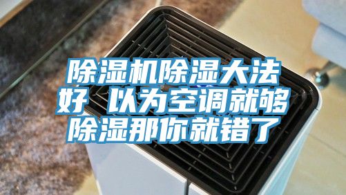 除濕機除濕大法好 以為空調(diào)就夠除濕那你就錯了