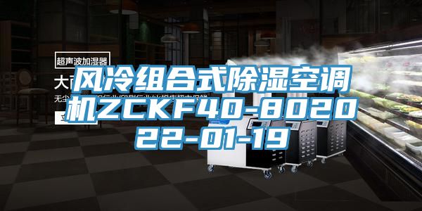 風(fēng)冷組合式除濕空調(diào)機ZCKF40-802022-01-19