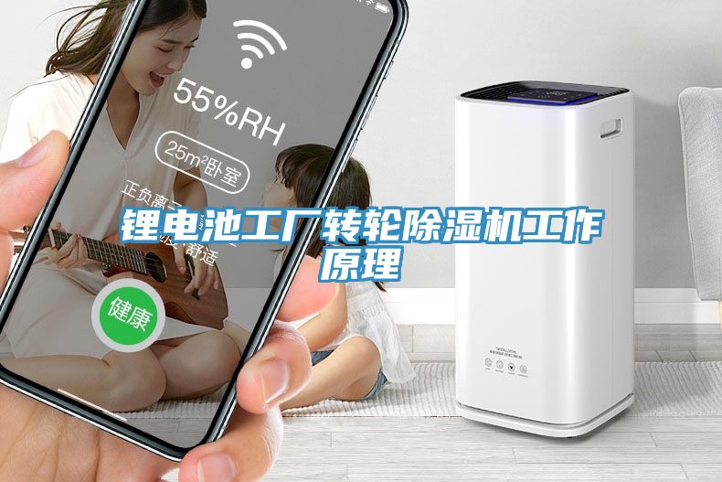 鋰電池工廠轉(zhuǎn)輪除濕機(jī)工作原理