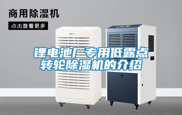 鋰電池廠專用低露點(diǎn)轉(zhuǎn)輪除濕機(jī)的介紹