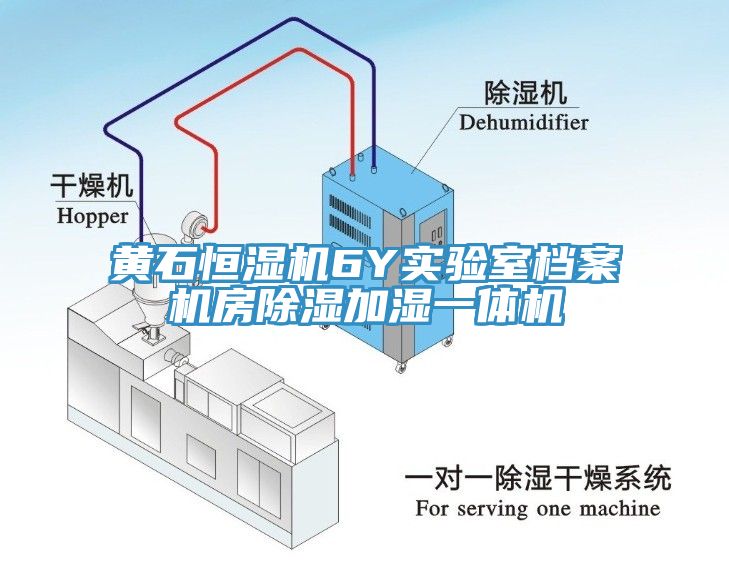 黃石恒濕機(jī)6Y實(shí)驗(yàn)室檔案機(jī)房除濕加濕一體機(jī)