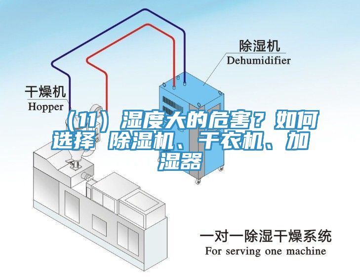 （11）濕度大的危害？如何選擇 除濕機(jī)、干衣機(jī)、加濕器