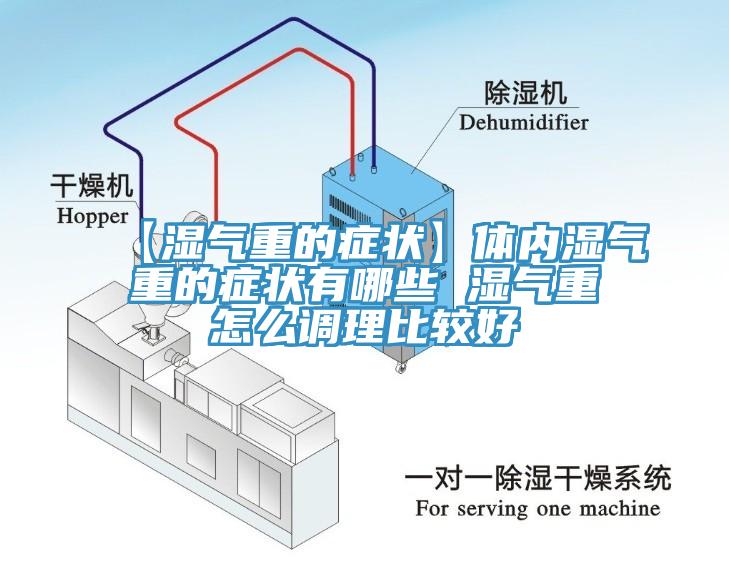 【濕氣重的癥狀】體內(nèi)濕氣重的癥狀有哪些 濕氣重怎么調(diào)理比較好