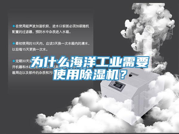 為什么海洋工業(yè)需要使用除濕機(jī)？