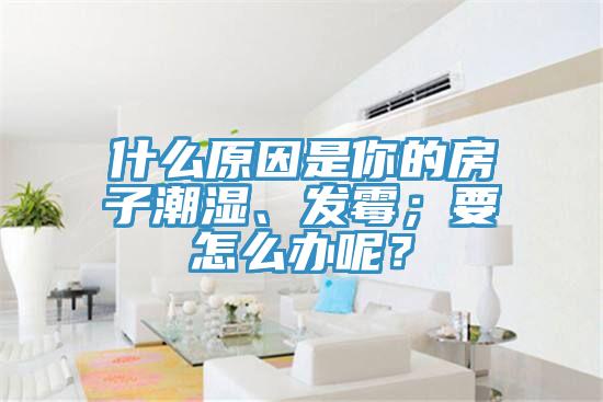 什么原因是你的房子潮濕、發(fā)霉；要怎么辦呢？