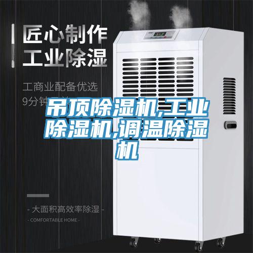 吊頂除濕機(jī),工業(yè)除濕機(jī),調(diào)溫除濕機(jī)