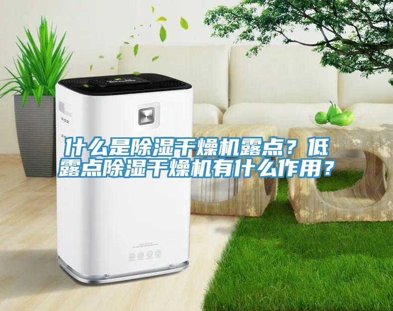 什么是除濕干燥機露點？低露點除濕干燥機有什么作用？