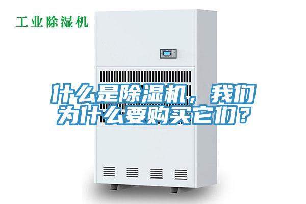 什么是除濕機，我們?yōu)槭裁匆徺I它們？