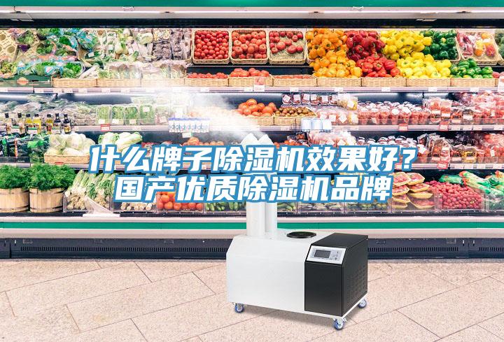 什么牌子除濕機效果好？國產優(yōu)質除濕機品牌