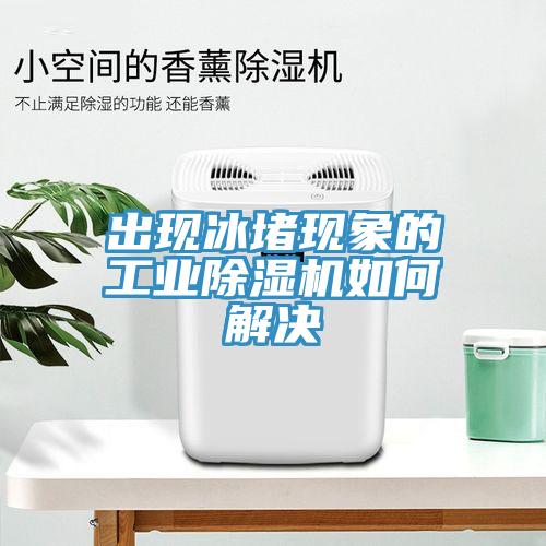 出現(xiàn)冰堵現(xiàn)象的工業(yè)除濕機(jī)如何解決