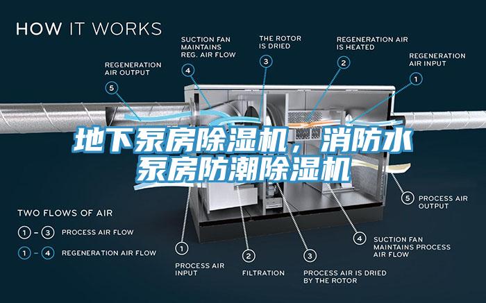 地下泵房除濕機，消防水泵房防潮除濕機