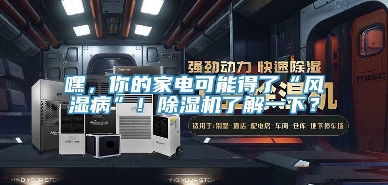 嘿，你的家電可能得了“風(fēng)濕病”！除濕機了解一下？