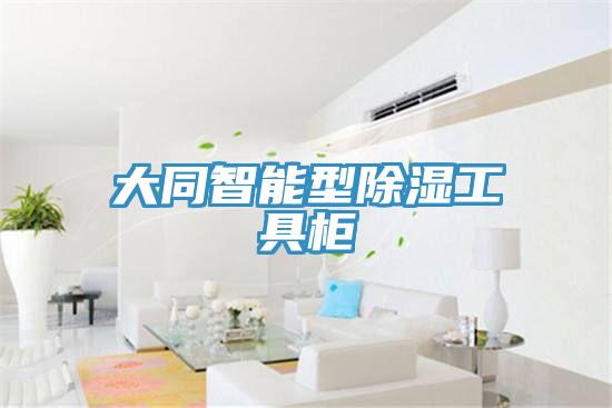 大同智能型除濕工具柜